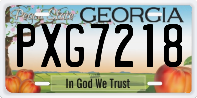 GA license plate PXG7218