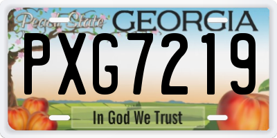 GA license plate PXG7219