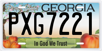 GA license plate PXG7221
