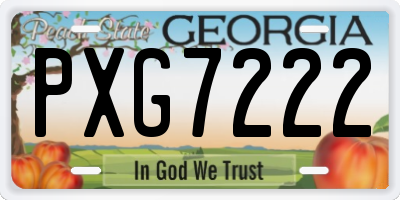 GA license plate PXG7222