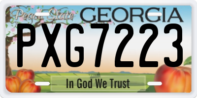 GA license plate PXG7223