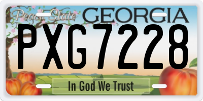 GA license plate PXG7228
