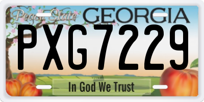 GA license plate PXG7229