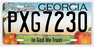 GA license plate PXG7230