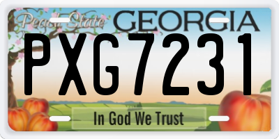 GA license plate PXG7231
