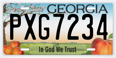 GA license plate PXG7234