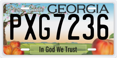 GA license plate PXG7236