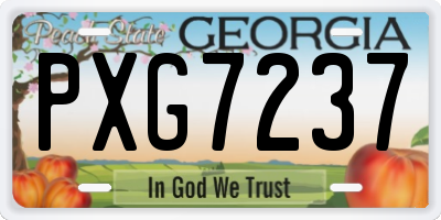 GA license plate PXG7237