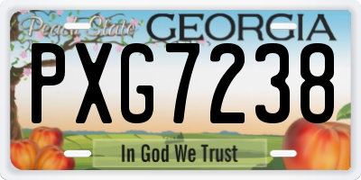 GA license plate PXG7238