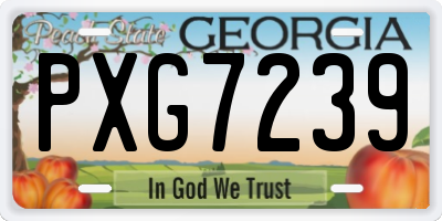 GA license plate PXG7239