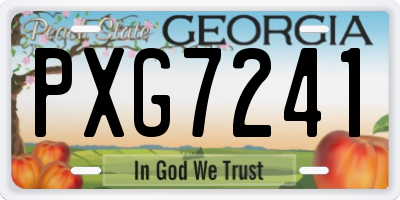 GA license plate PXG7241