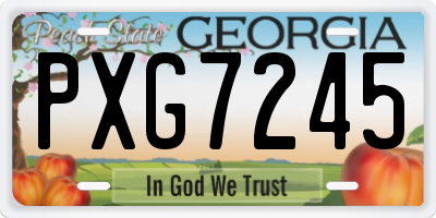 GA license plate PXG7245