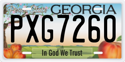 GA license plate PXG7260
