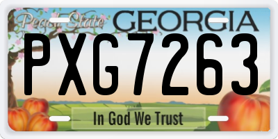 GA license plate PXG7263