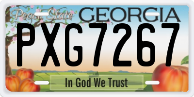 GA license plate PXG7267