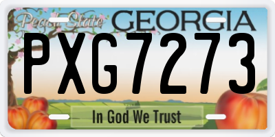 GA license plate PXG7273