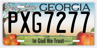 GA license plate PXG7277
