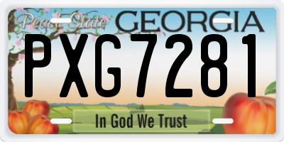 GA license plate PXG7281