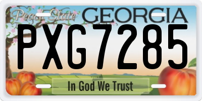 GA license plate PXG7285