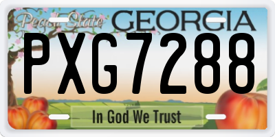 GA license plate PXG7288