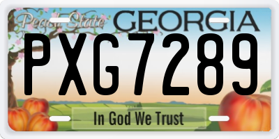 GA license plate PXG7289