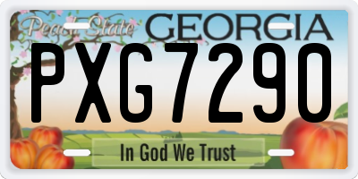 GA license plate PXG7290