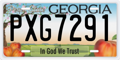 GA license plate PXG7291