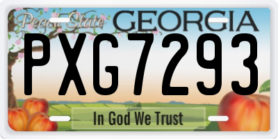 GA license plate PXG7293