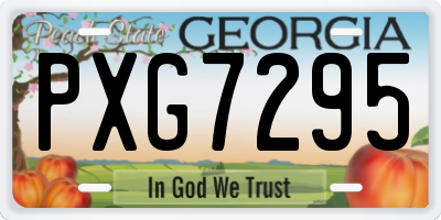 GA license plate PXG7295