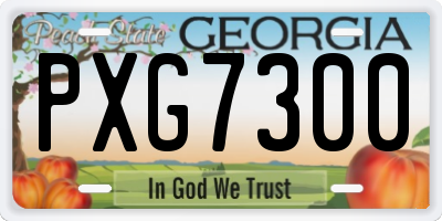 GA license plate PXG7300