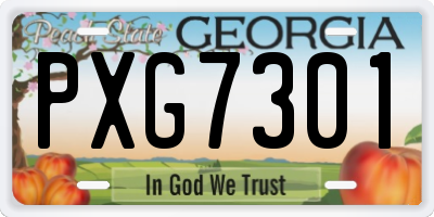 GA license plate PXG7301
