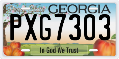GA license plate PXG7303