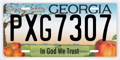 GA license plate PXG7307