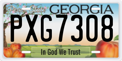 GA license plate PXG7308