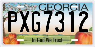 GA license plate PXG7312