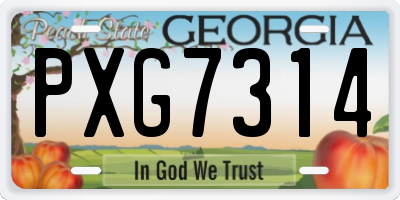 GA license plate PXG7314