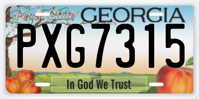GA license plate PXG7315