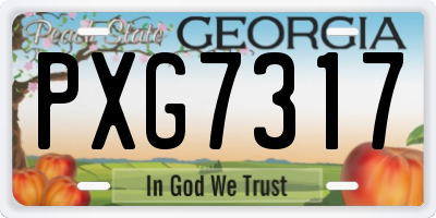 GA license plate PXG7317