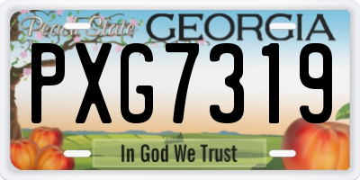 GA license plate PXG7319