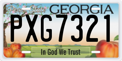 GA license plate PXG7321