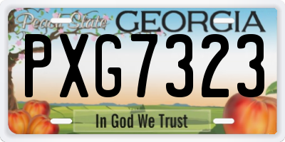 GA license plate PXG7323