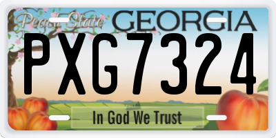GA license plate PXG7324
