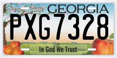 GA license plate PXG7328