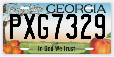 GA license plate PXG7329