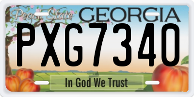 GA license plate PXG7340