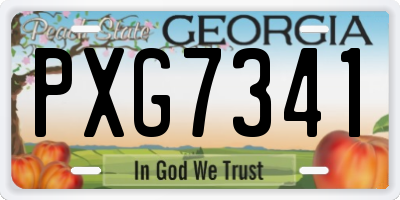 GA license plate PXG7341