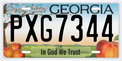 GA license plate PXG7344