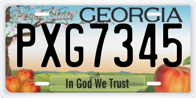 GA license plate PXG7345