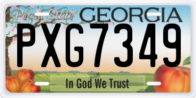 GA license plate PXG7349