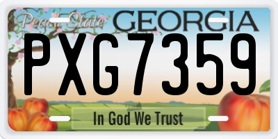 GA license plate PXG7359